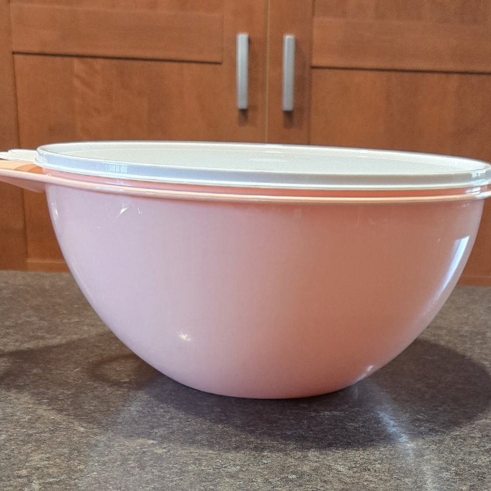 Tupperware Thatsa Bowl -19 Cups